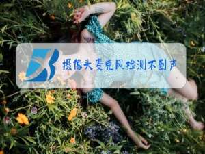 摄像头麦克风检测不到声音,可以听到对方声音