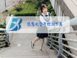 摄像头型号检测工具