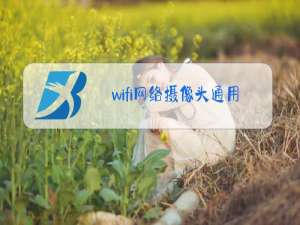 wifi网络摄像头通用app苹果