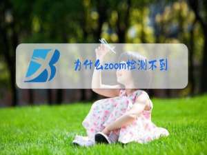 为什么zoom检测不到摄像头