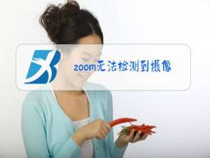 zoom无法检测到摄像头