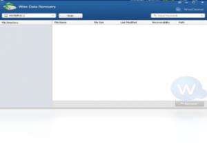 【Wise Data Recovery】免费Wise Data Recovery软件下载