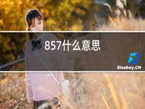 857什么意思