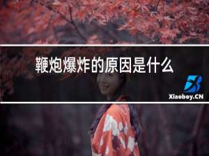 鞭炮爆炸的原因是什么