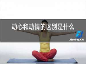 动心和动情的区别是什么