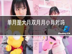 单月是大月双月月小月对吗