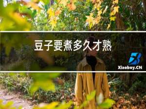 豆子要煮多久才熟