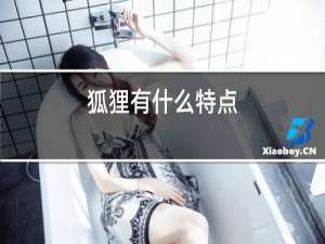 狐狸有什么特点