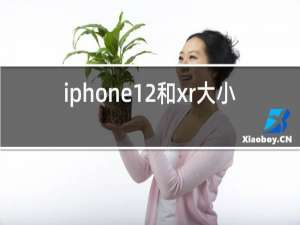 iphone12和xr大小