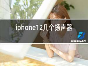 iphone12几个扬声器