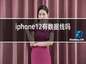 iphone12有数据线吗