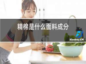 精棉是什么面料成分