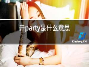 开party是什么意思