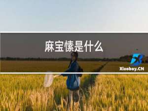 麻宝愫是什么