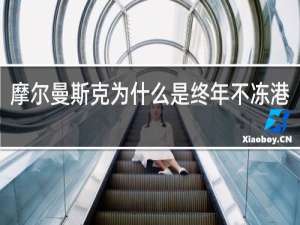 摩尔曼斯克为什么是终年不冻港