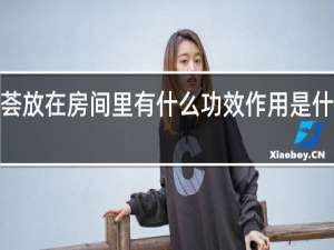 芦荟放在房间里有什么功效作用是什么