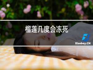 榴莲几度会冻死