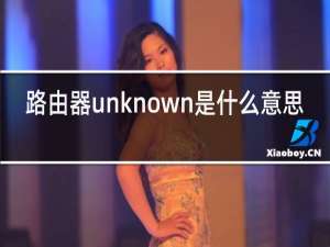 路由器unknown是什么意思