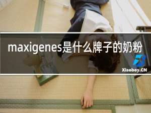 maxigenes是什么牌子的奶粉