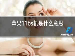 苹果11bs机是什么意思