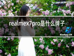 realmex7pro是什么牌子