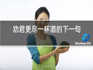 劝君更尽一杯酒的下一句