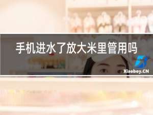 手机进水了放大米里管用吗