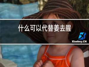 什么可以代替姜去腥