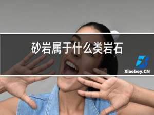 砂岩属于什么类岩石