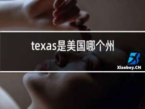 texas是美国哪个州