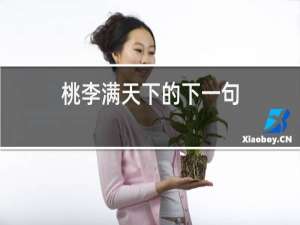 桃李满天下的下一句