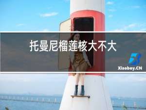 托曼尼榴莲核大不大