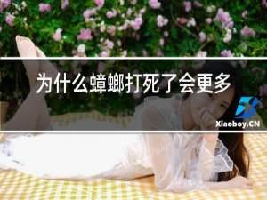 为什么蟑螂打死了会更多