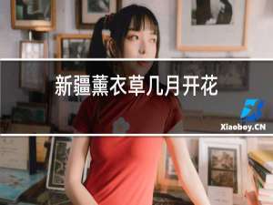 新疆薰衣草几月开花