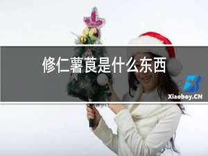 修仁薯莨是什么东西