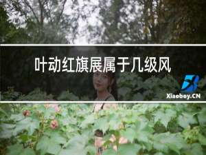 叶动红旗展属于几级风