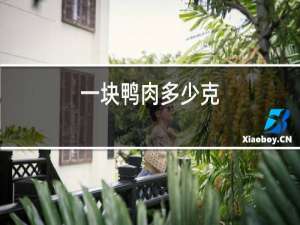 一块鸭肉多少克