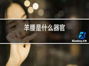 羊腰是什么器官