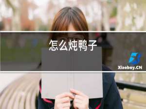 怎么炖鸭子