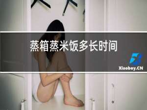 蒸箱蒸米饭多长时间