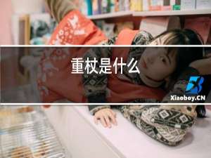 重杖是什么