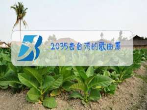 2035去台湾的歌曲原唱手势舞