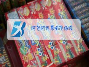 阿爸阿妈原唱现场版