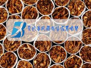 爱的暴风雨粤语版原唱梦涵