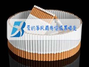 爱的暴风雨粤语版原唱是谁