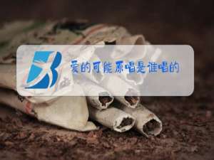 爱的可能原唱是谁唱的
