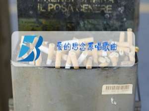 爱的思念原唱歌曲