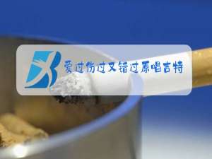 爱过伤过又错过原唱吉特巴