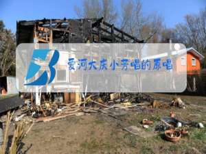 爱河大庆小芳唱的原唱