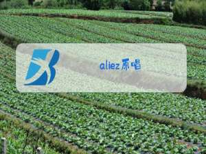 aliez原唱